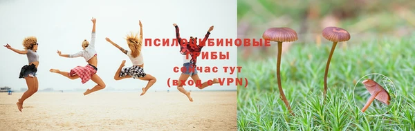 гашик Дмитровск