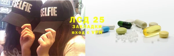 гашик Дмитровск
