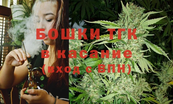 гашик Дмитровск