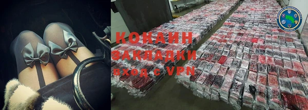 гашик Дмитровск