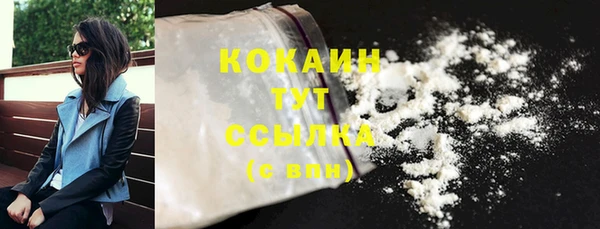 гашик Дмитровск