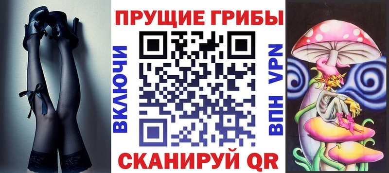 Псилоцибиновые грибы Cubensis  Купить  Томари 